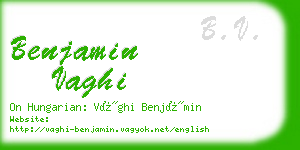 benjamin vaghi business card